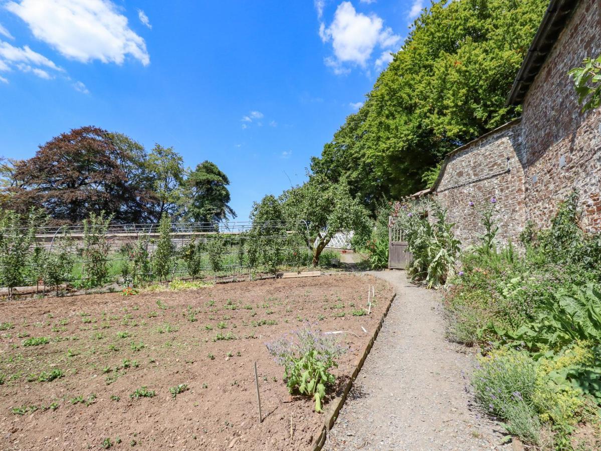 Nethercott House Winkleigh Exterior photo